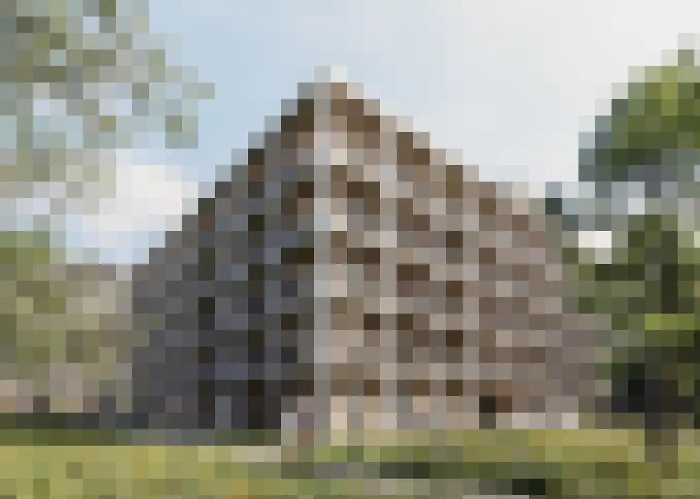 Duizendblad 10 Breda thumbnail 23