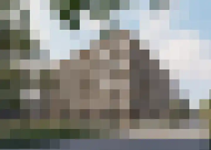 Duizendblad 10 Breda thumbnail 4