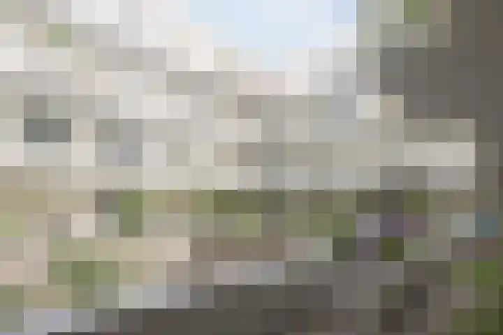 Duizendblad 10 Breda thumbnail 6