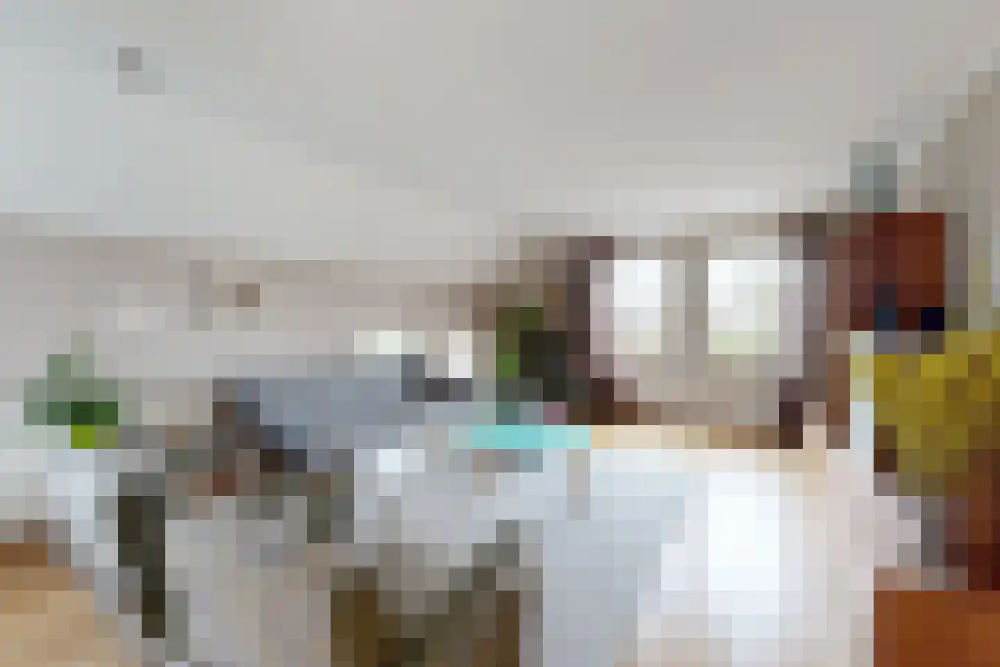 Duizendblad 10 Zevenbergen thumbnail 11