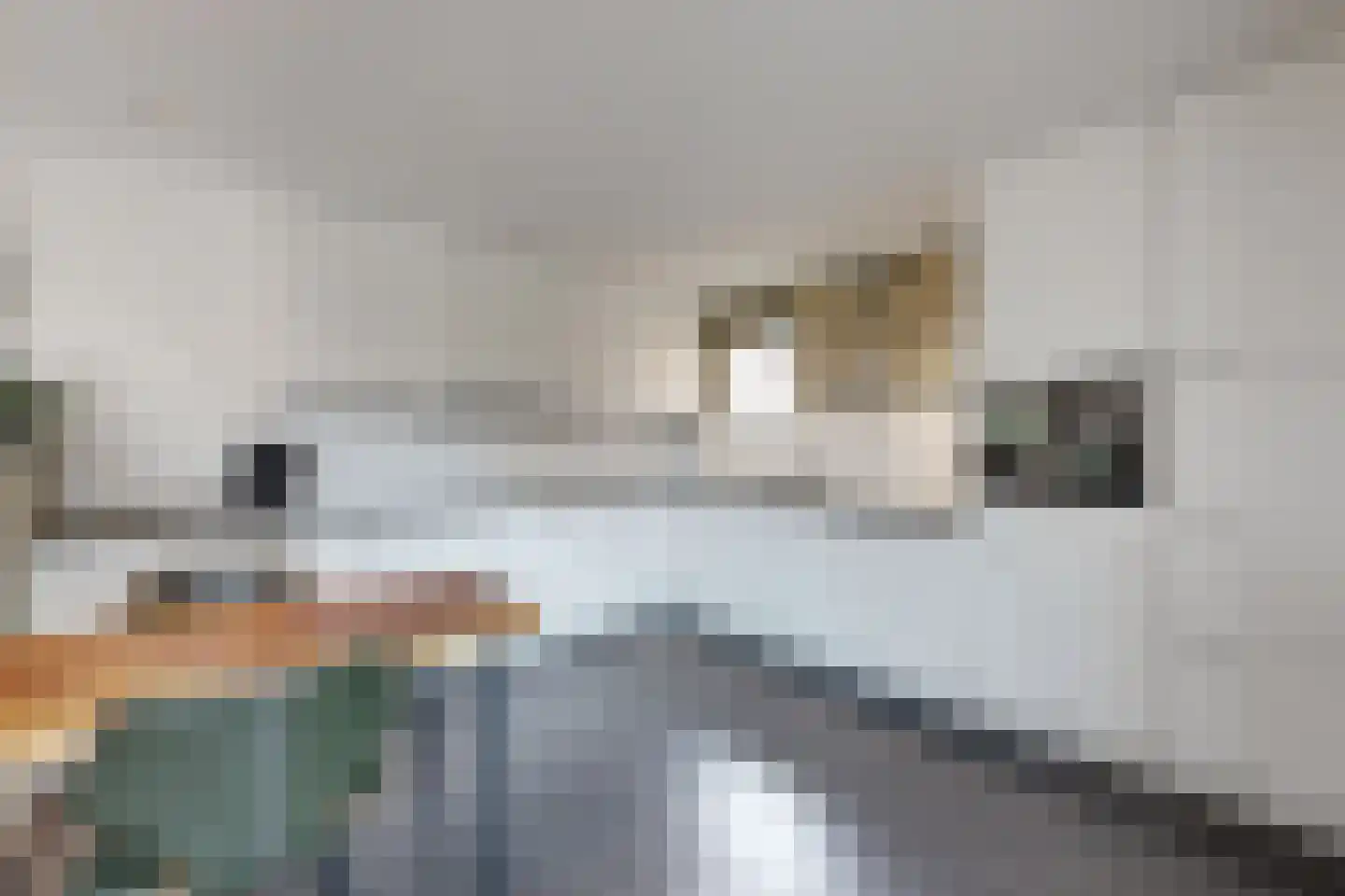 Duizendblad 10 Zevenbergen thumbnail 22
