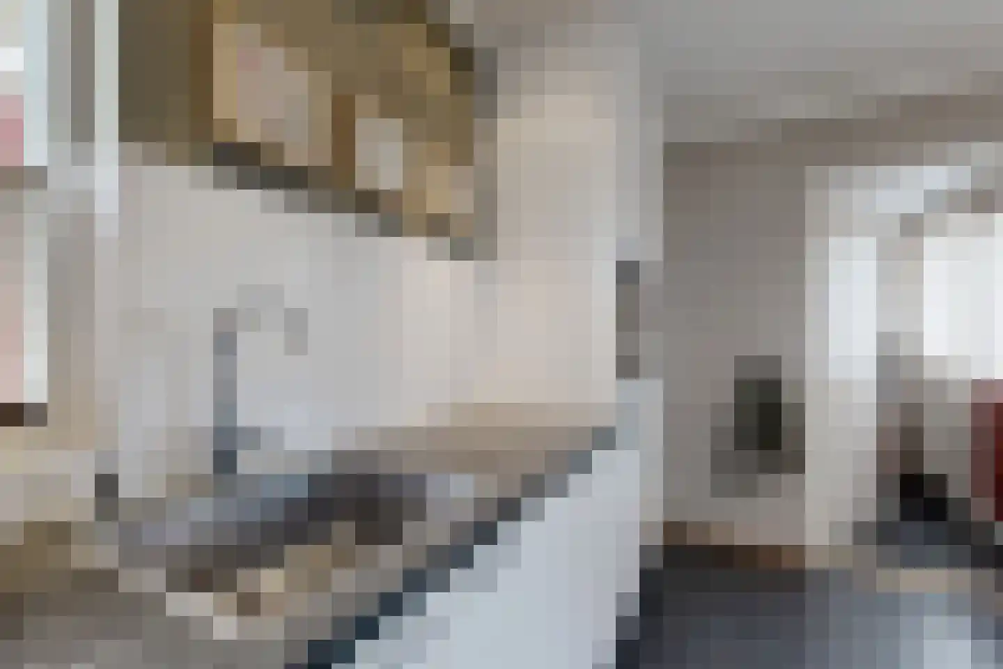 Duizendblad 10 Zevenbergen thumbnail 26