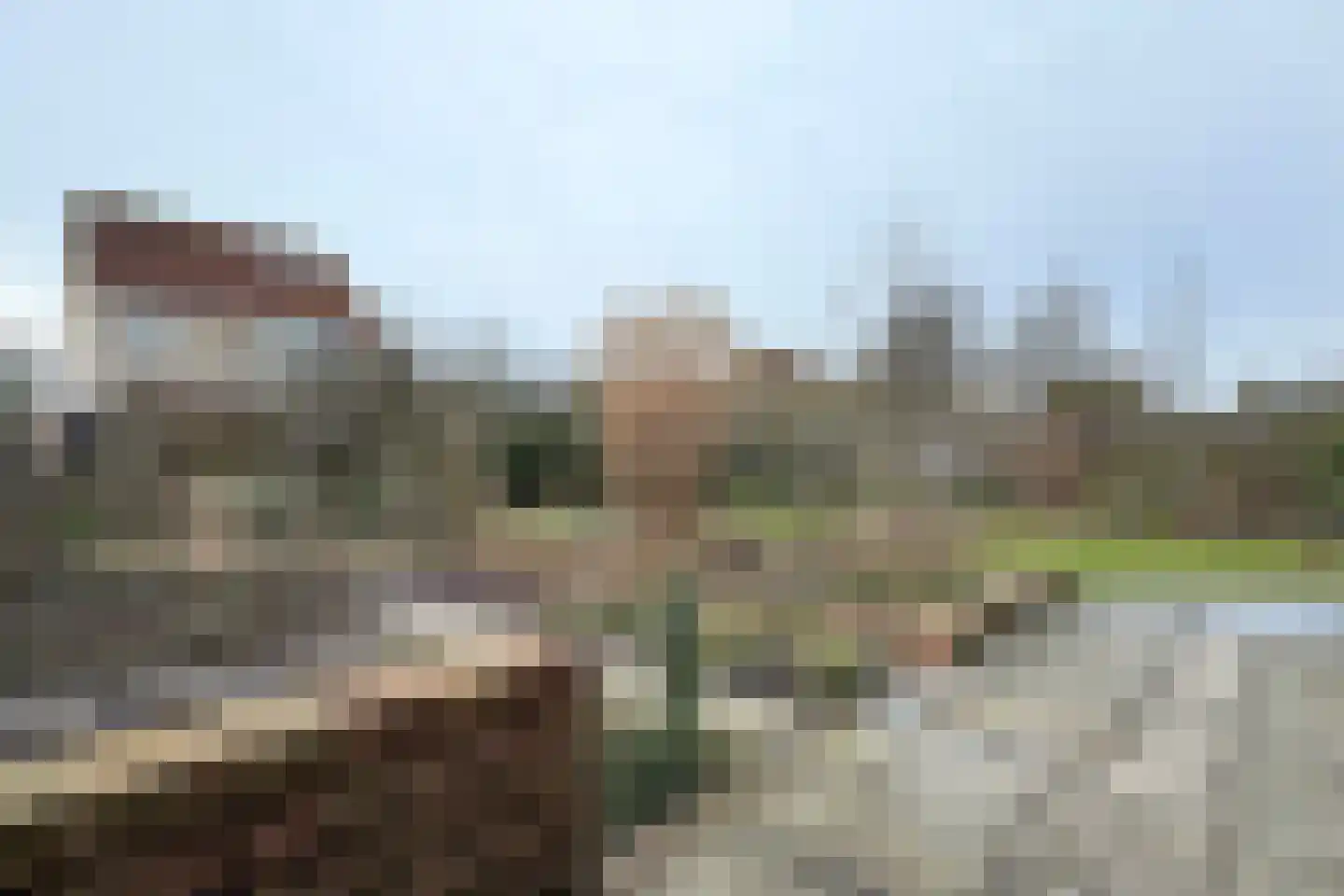 Duizendblad 10 Zevenbergen thumbnail 66