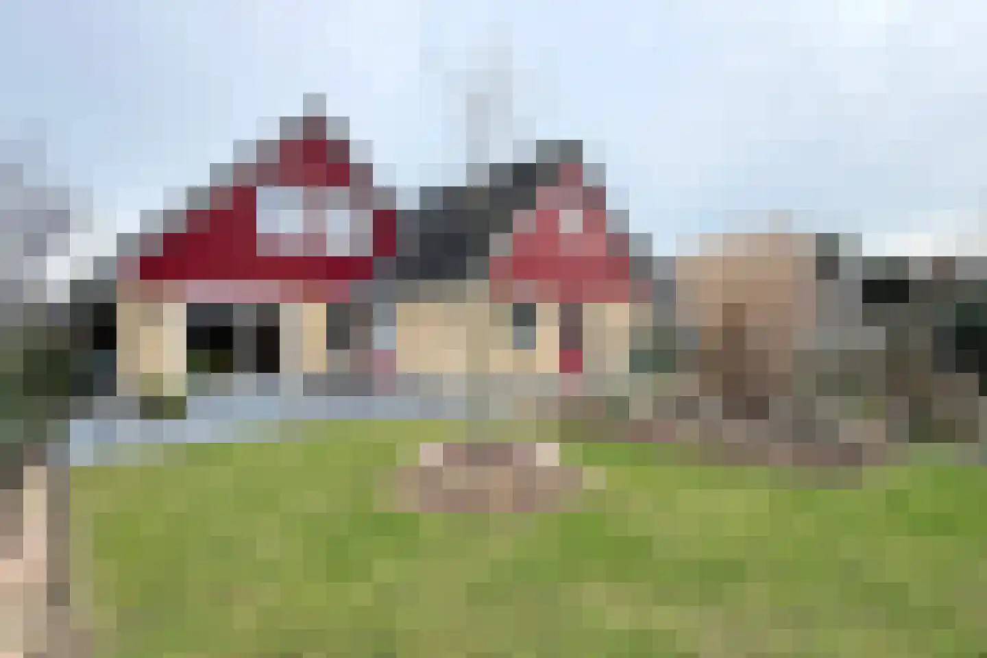 Duizendblad 10 Zevenbergen thumbnail 69