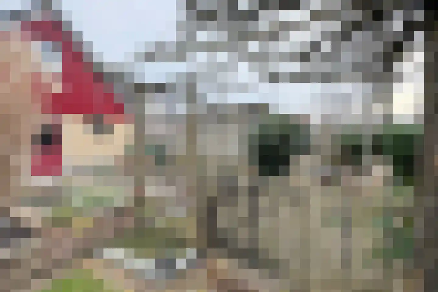 Duizendblad 10 Zevenbergen thumbnail 71