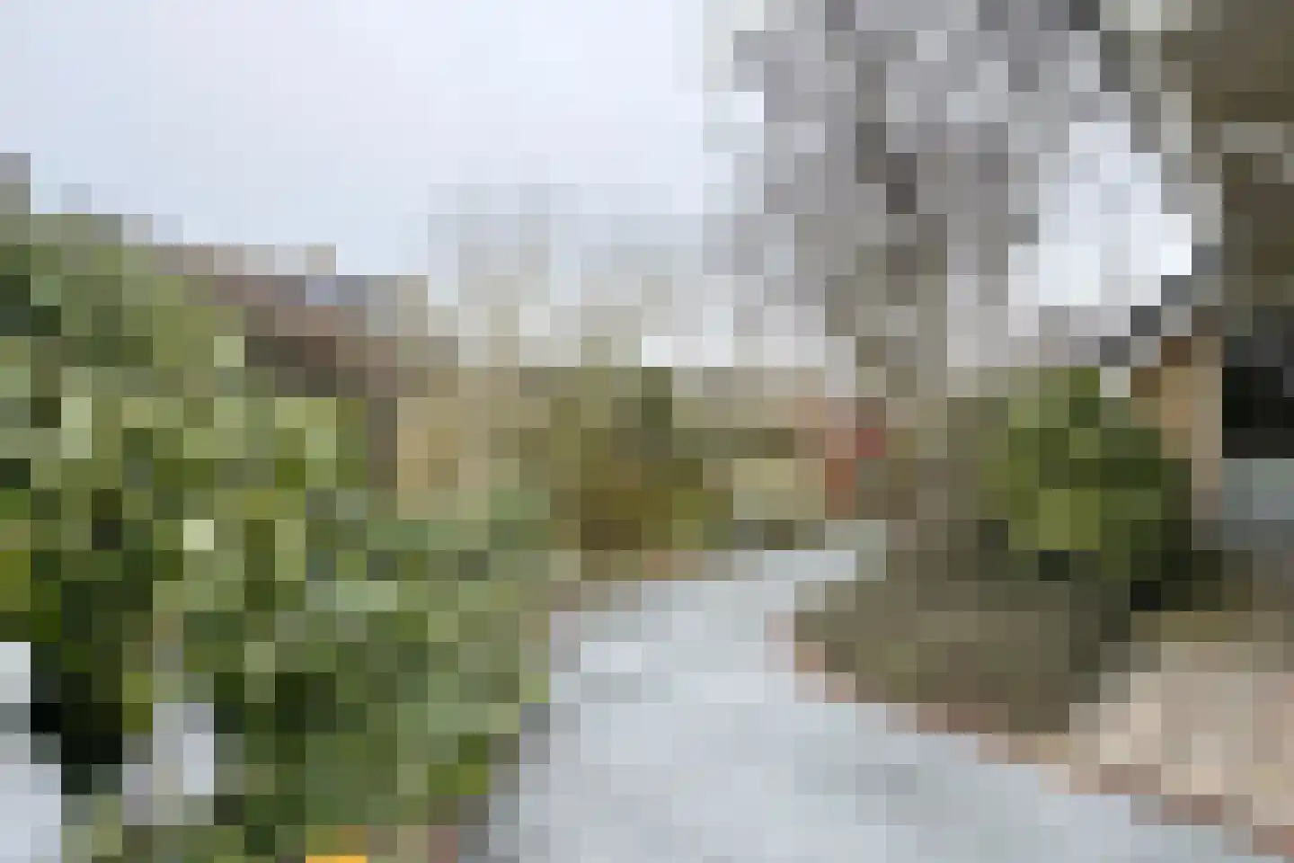 Duizendblad 10 Zevenbergen thumbnail 72