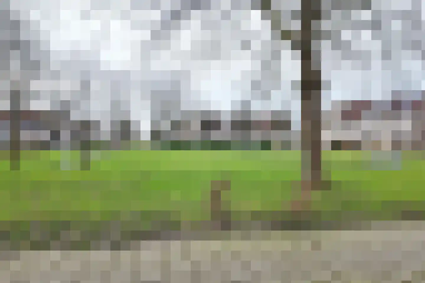 Duizendblad 10 Zevenbergen thumbnail 77