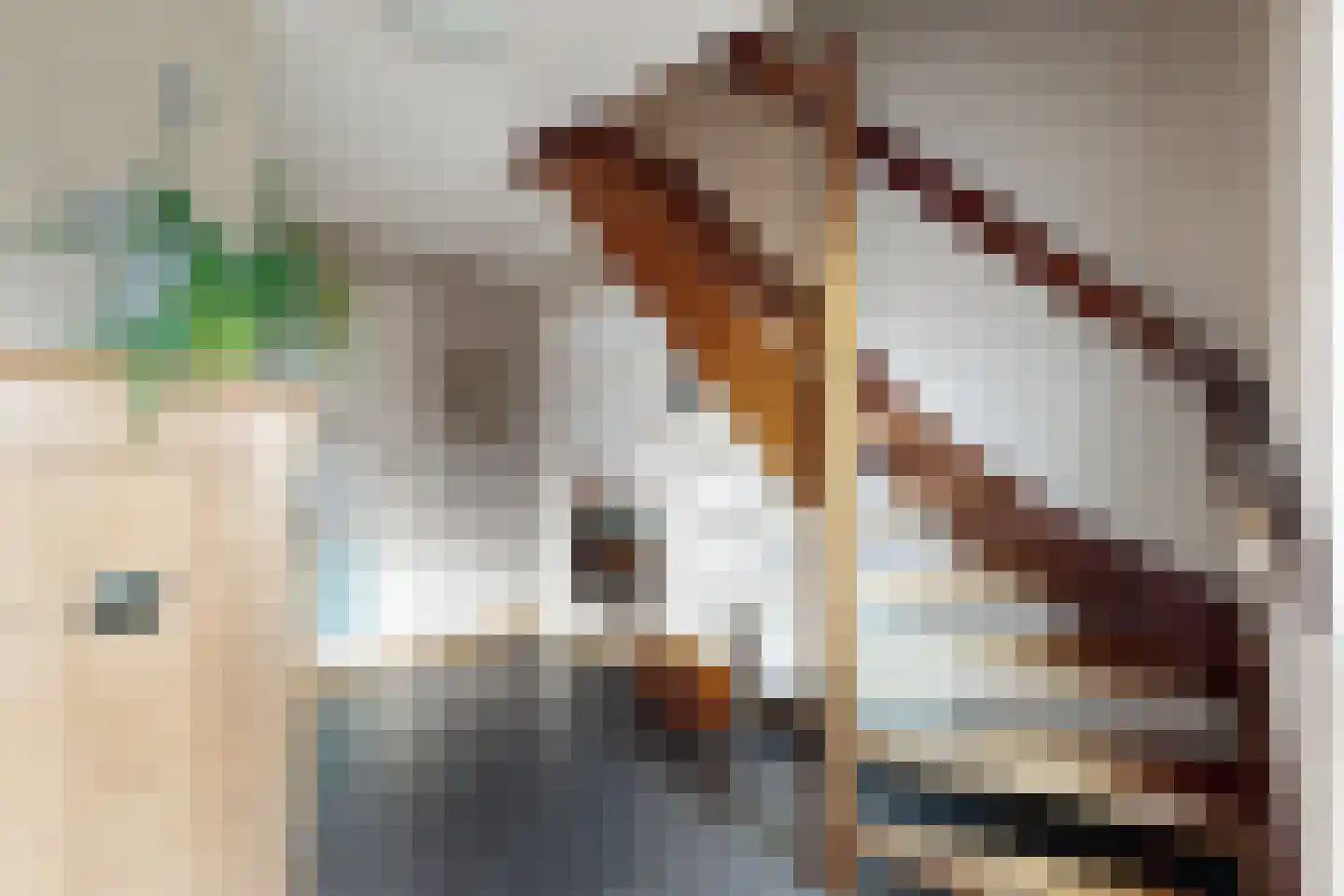 Duizendblad 10 Zevenbergen thumbnail 9