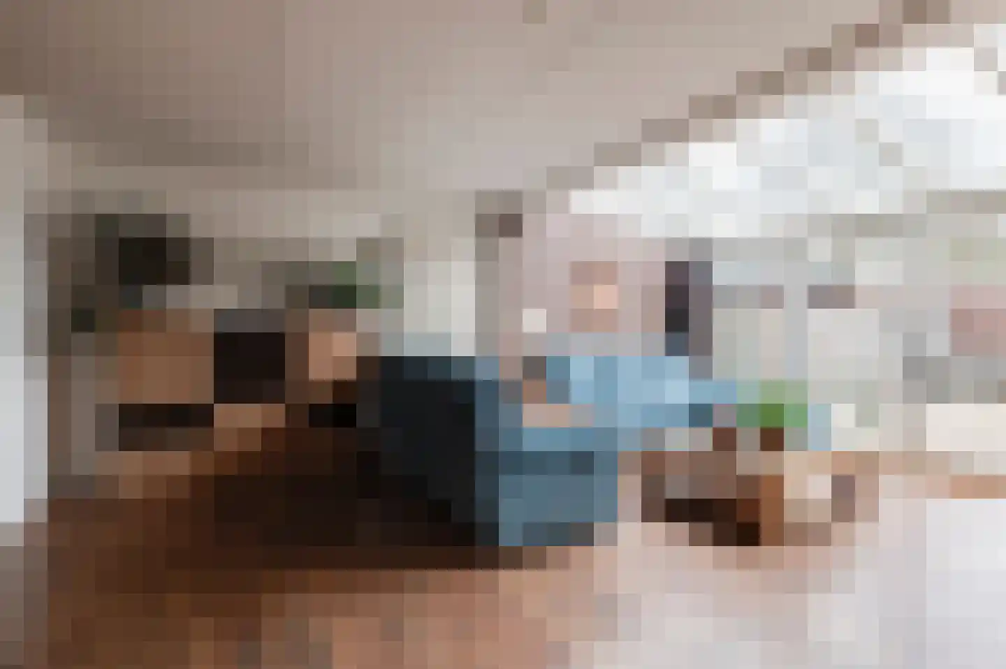 Duizendblad 11 Culemborg thumbnail 14
