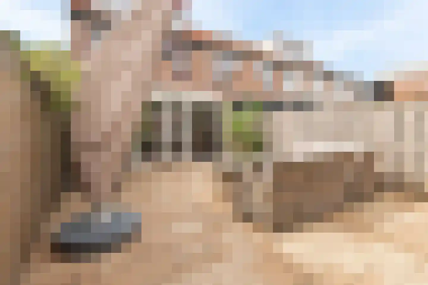 Duizendblad 11 Culemborg thumbnail 22