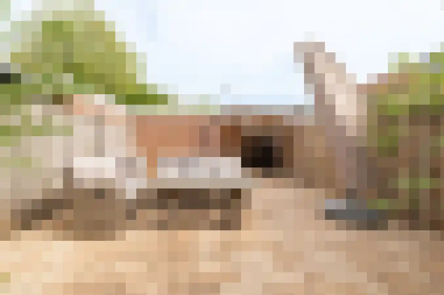 Duizendblad 11 Culemborg thumbnail 24