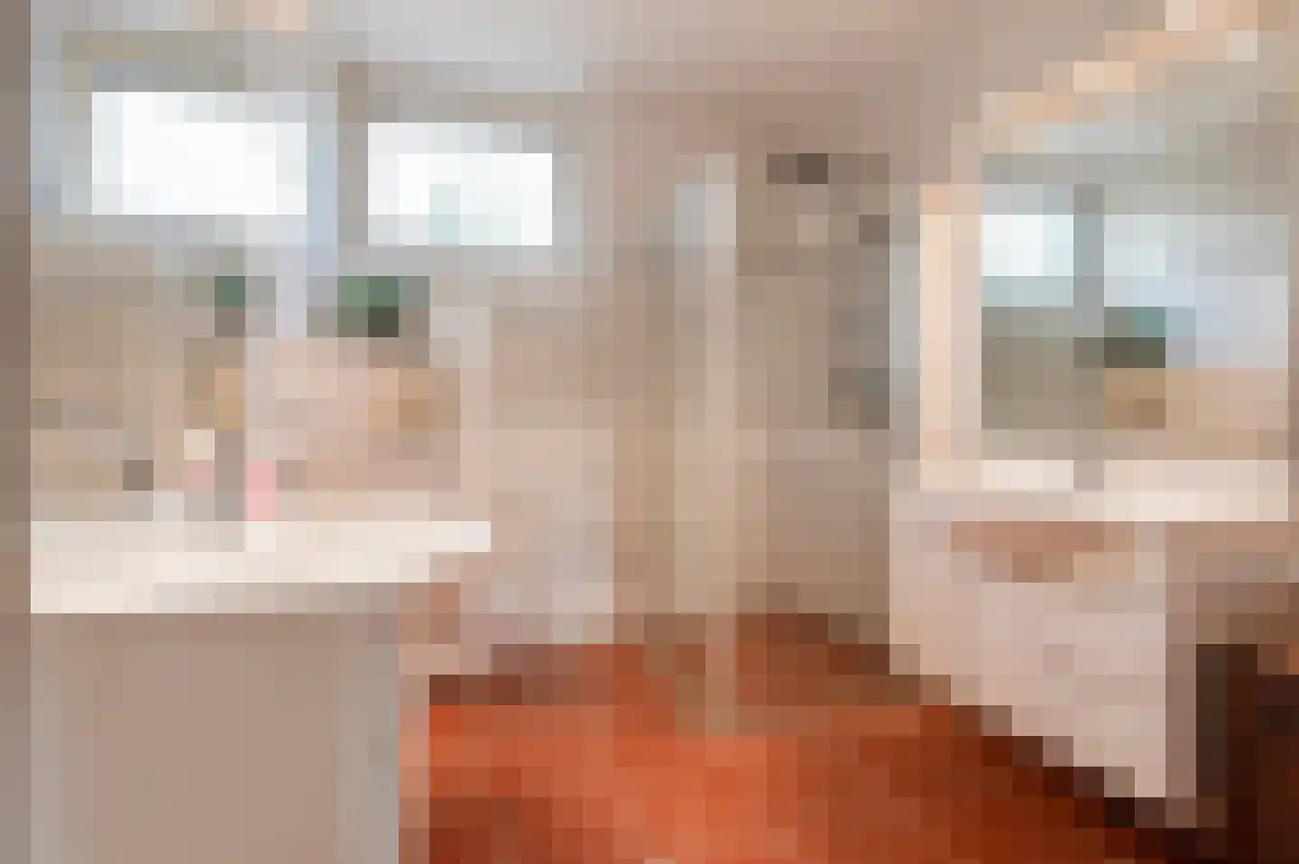 Duizendblad 11 Culemborg thumbnail 31