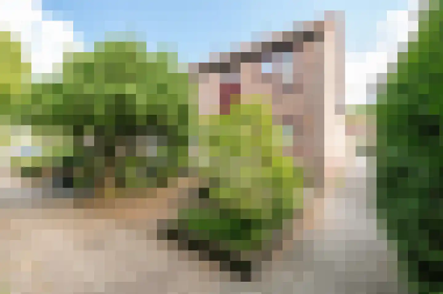 Duizendblad 11 Culemborg thumbnail 4