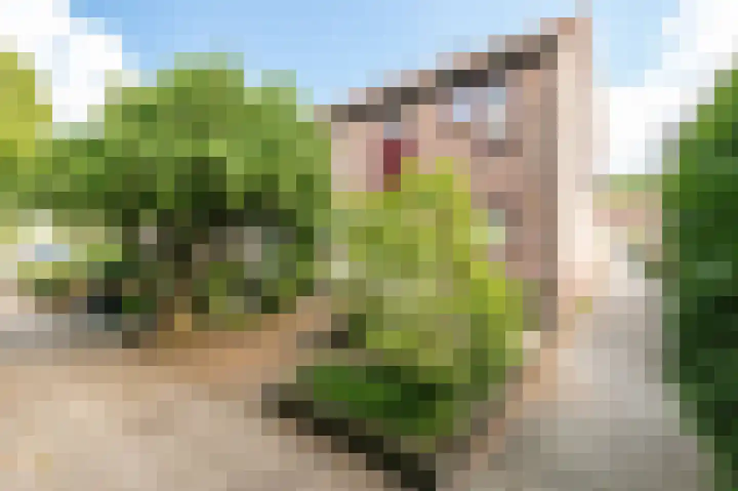 Duizendblad 11 Culemborg thumbnail 41