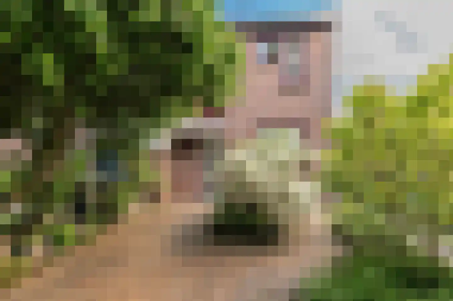 Duizendblad 11 Culemborg thumbnail 42