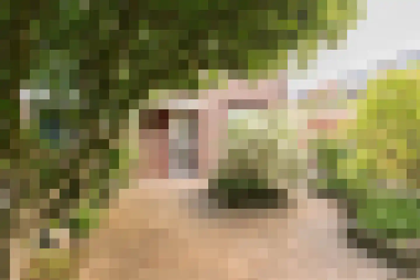 Duizendblad 11 Culemborg thumbnail 43
