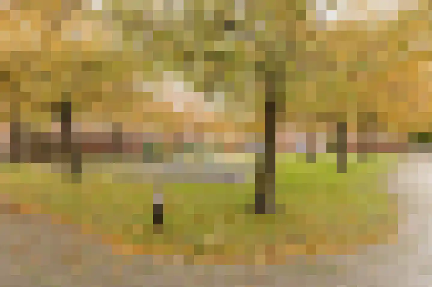 Duizendblad 11 Culemborg thumbnail 46