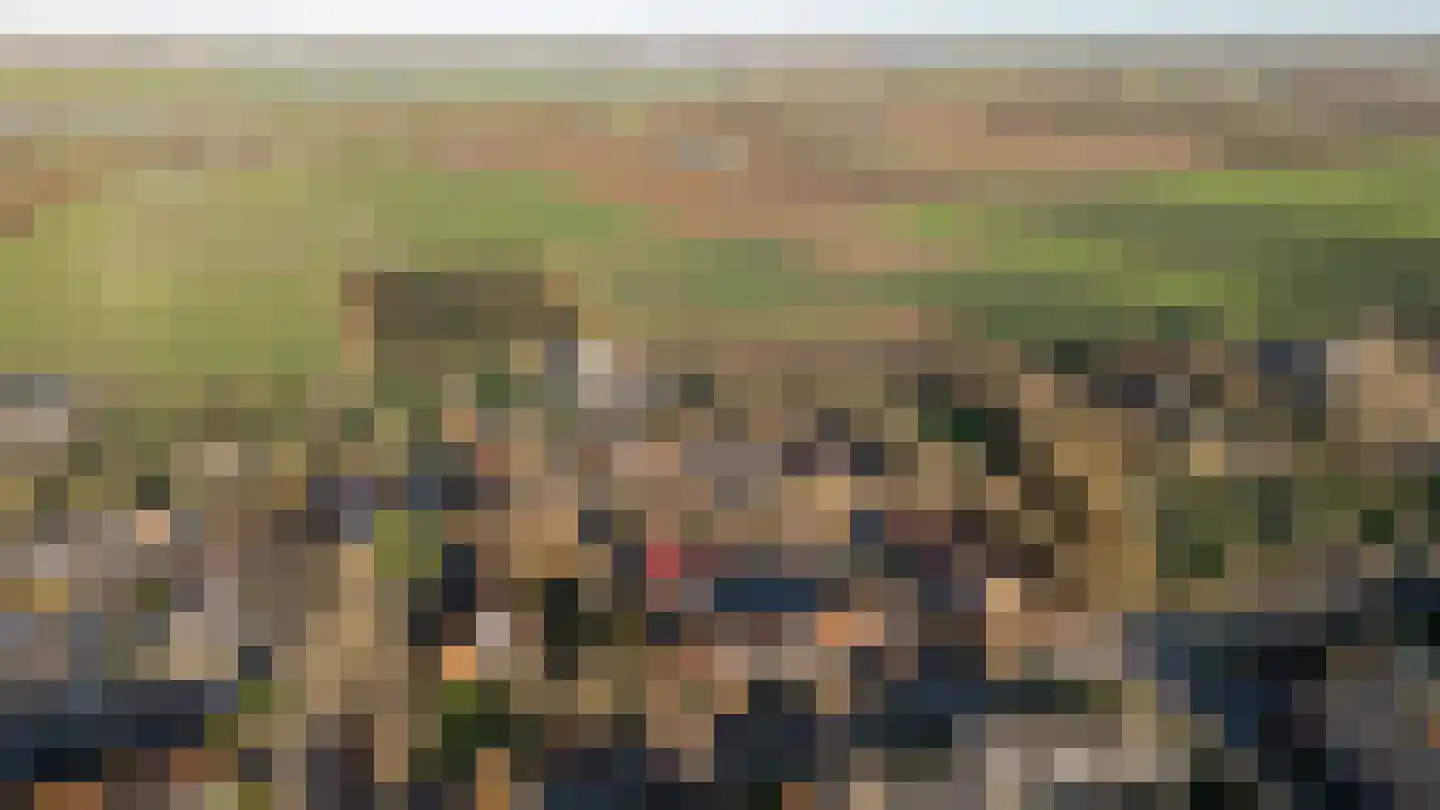 Duizendblad 11 Culemborg thumbnail 47