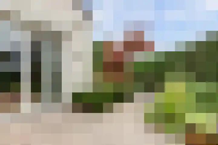 Duizendblad 11 Kapelle thumbnail 36