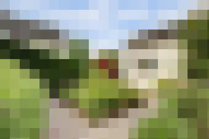 Duizendblad 11 Kapelle thumbnail 42