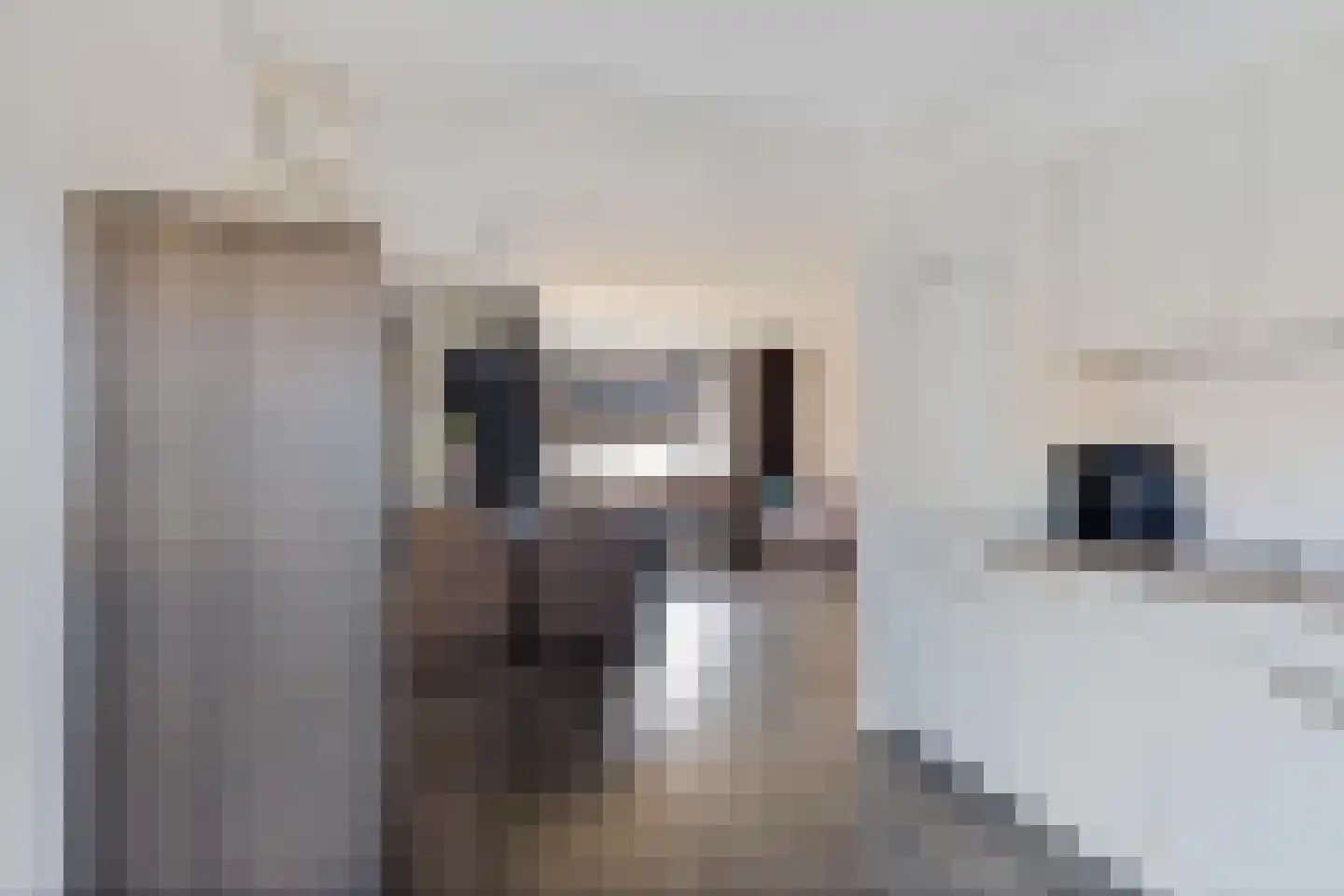 Duizendblad 11 Sneek thumbnail 17