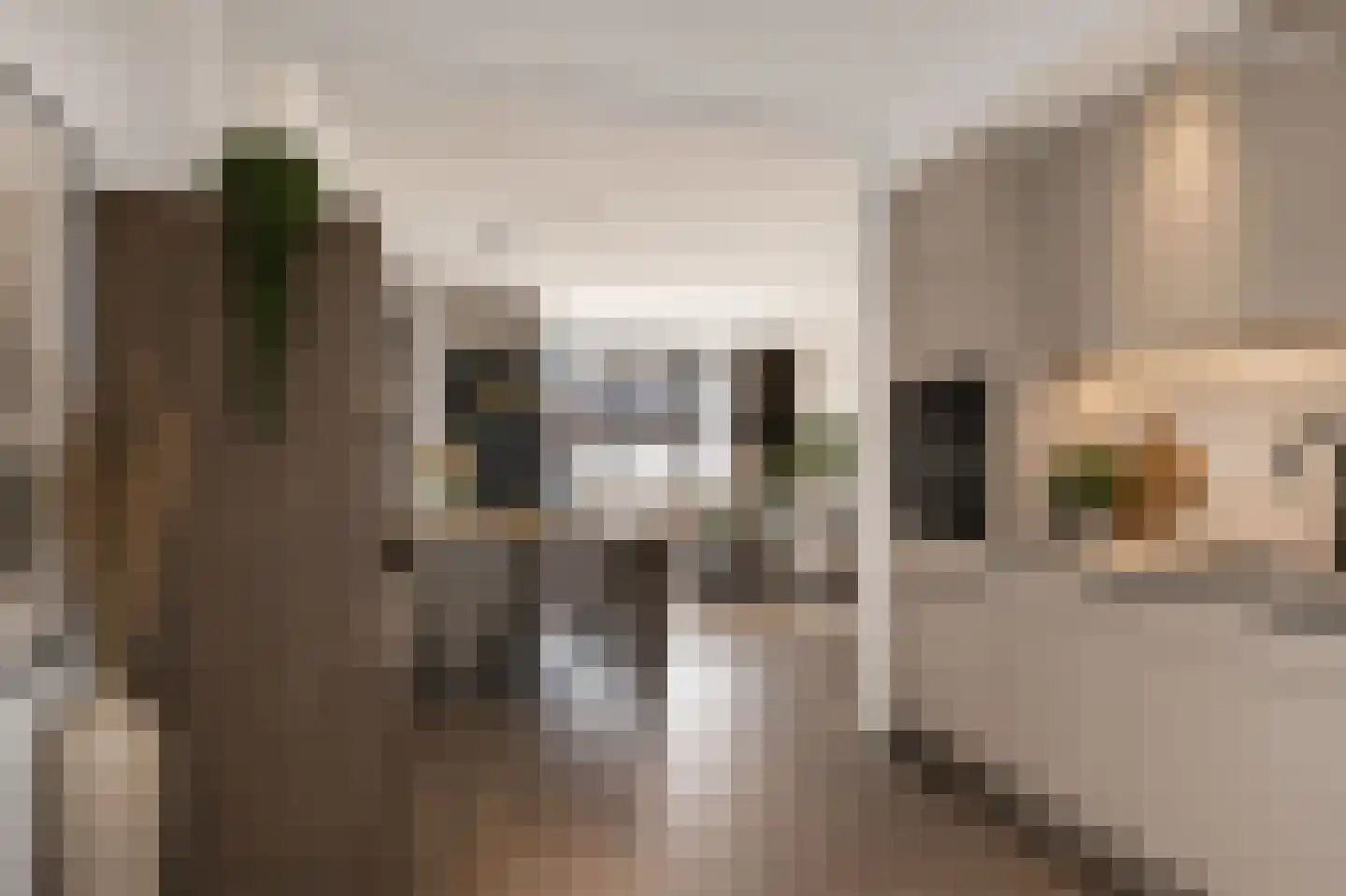 Duizendblad 11 Sneek thumbnail 18