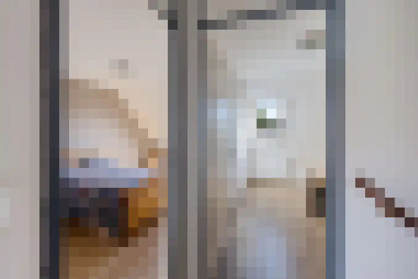 Duizendblad 11 Sneek thumbnail 23