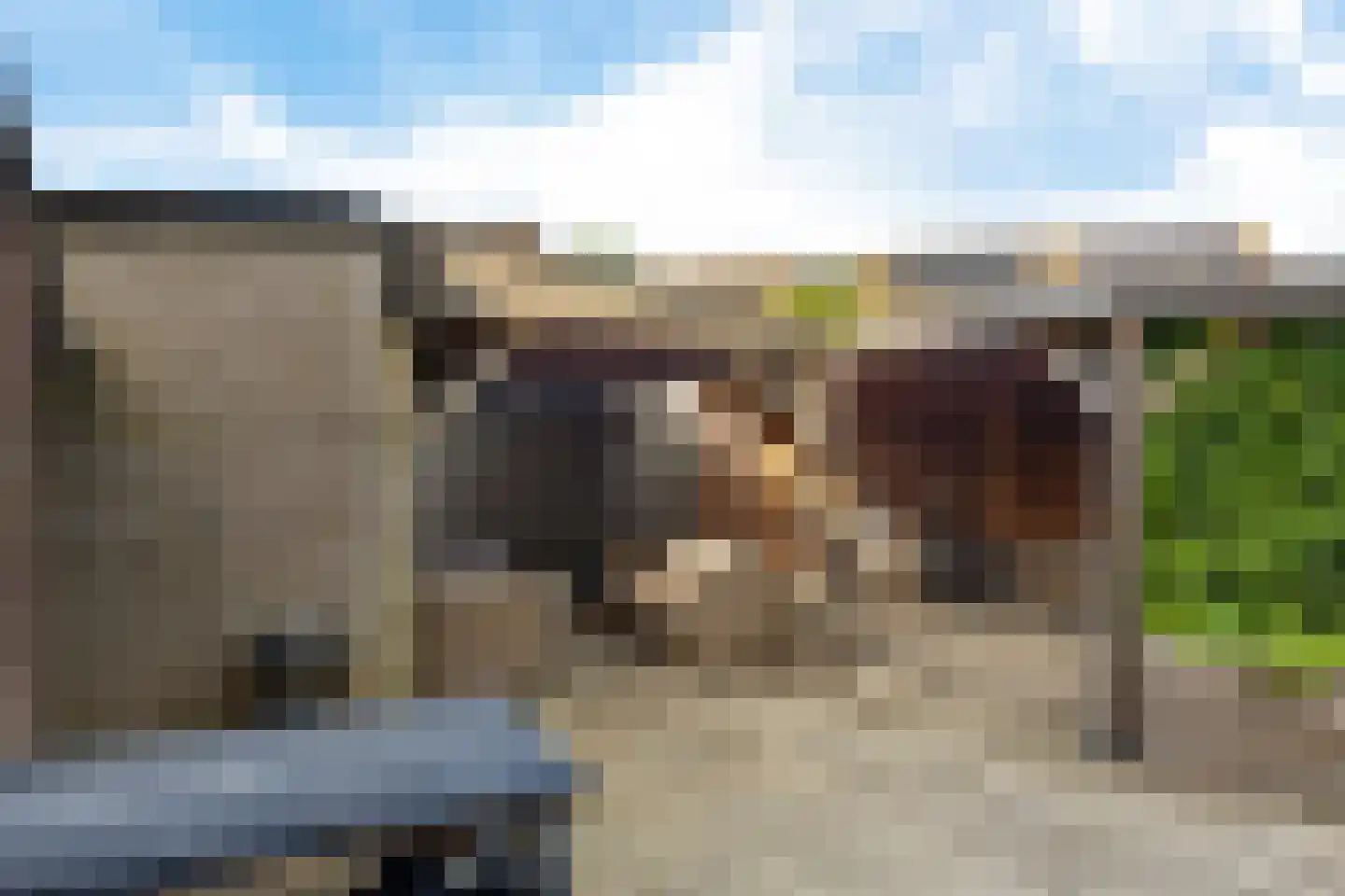 Duizendblad 11 Sneek thumbnail 38