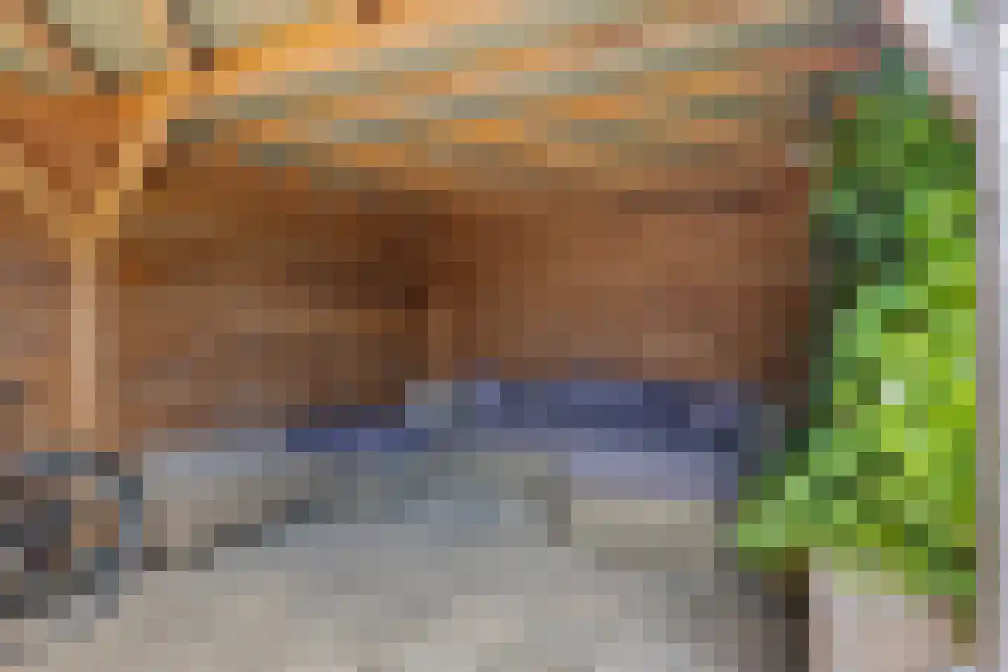 Duizendblad 11 Sneek thumbnail 42
