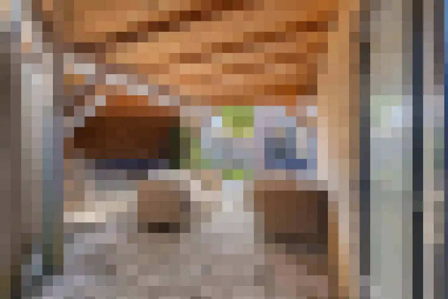 Duizendblad 11 Sneek thumbnail 43