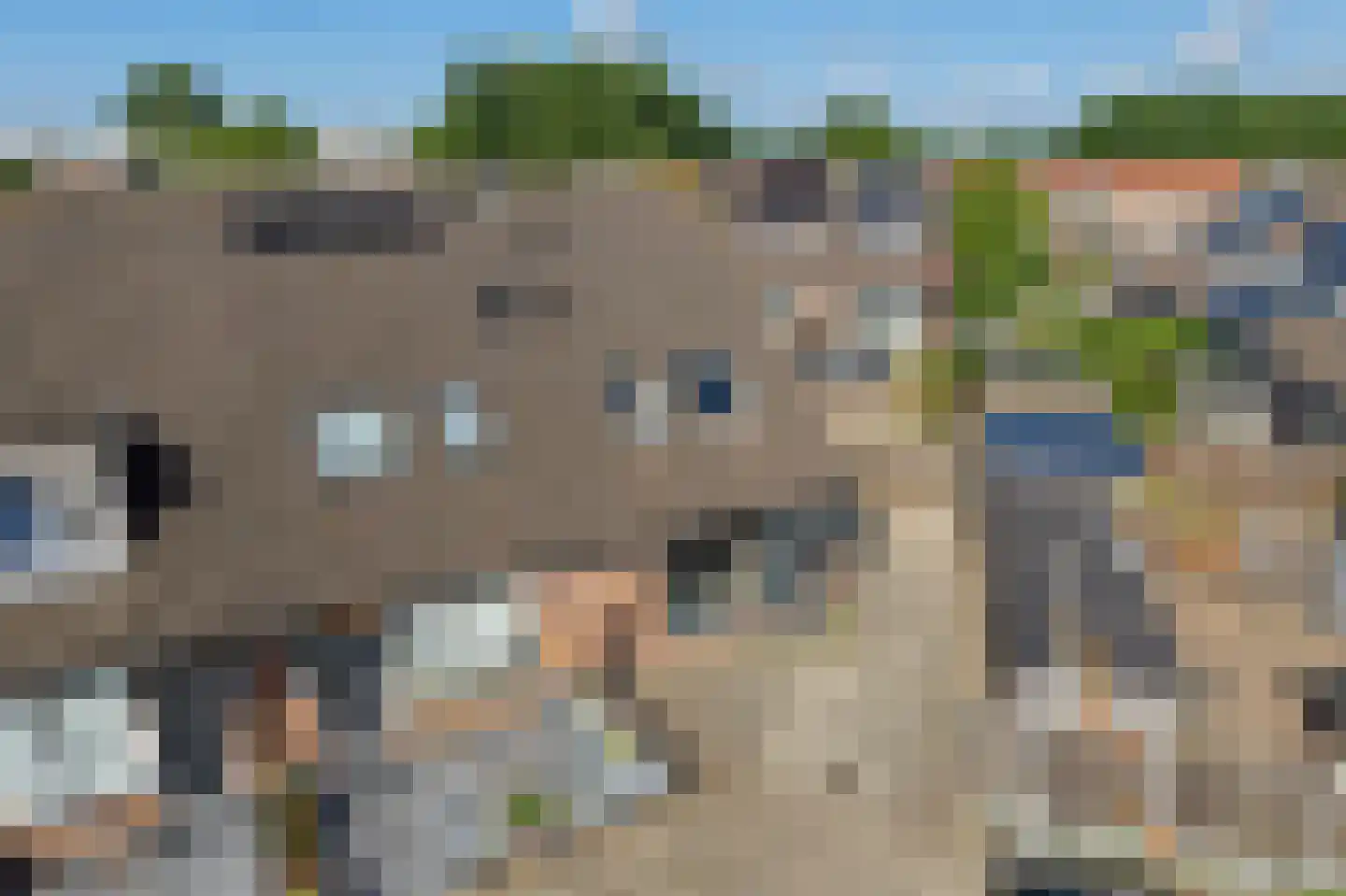 Duizendblad 11 Sneek thumbnail 44