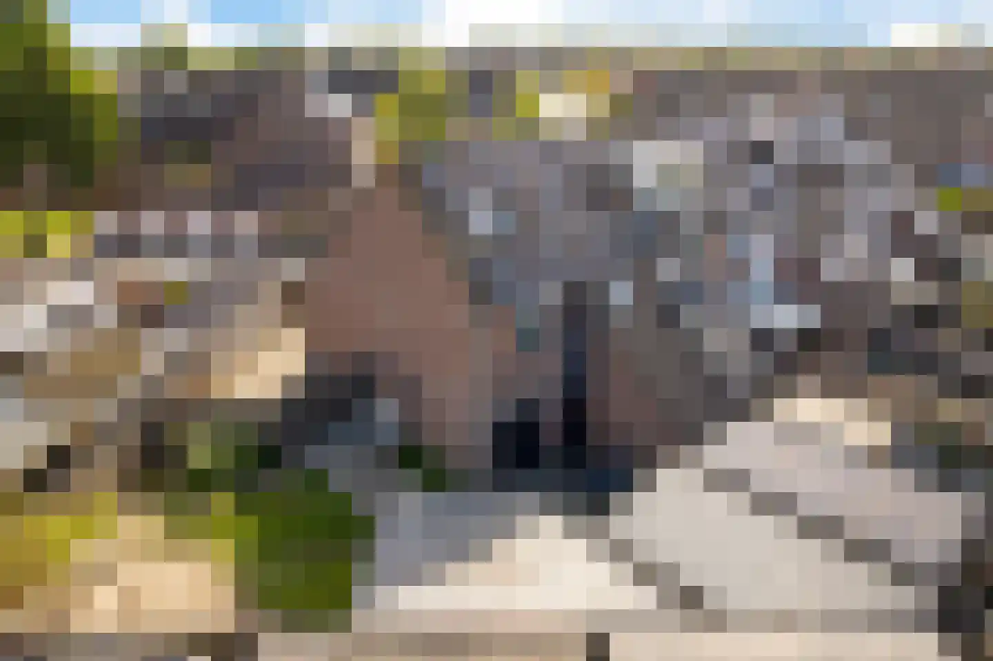 Duizendblad 11 Sneek thumbnail 46