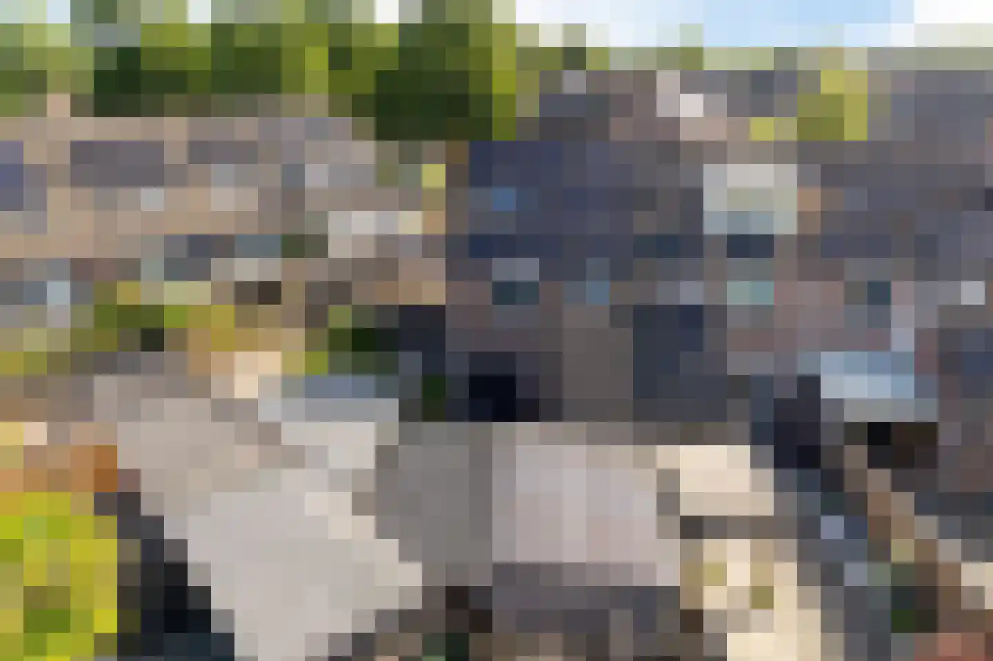 Duizendblad 11 Sneek thumbnail 47