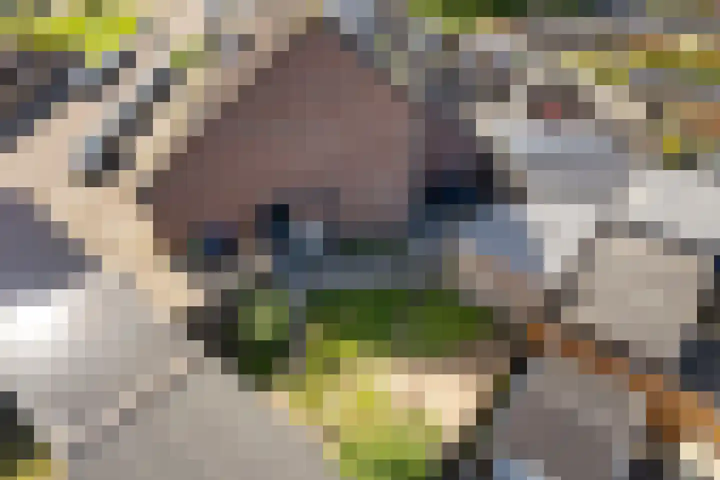 Duizendblad 11 Sneek thumbnail 48