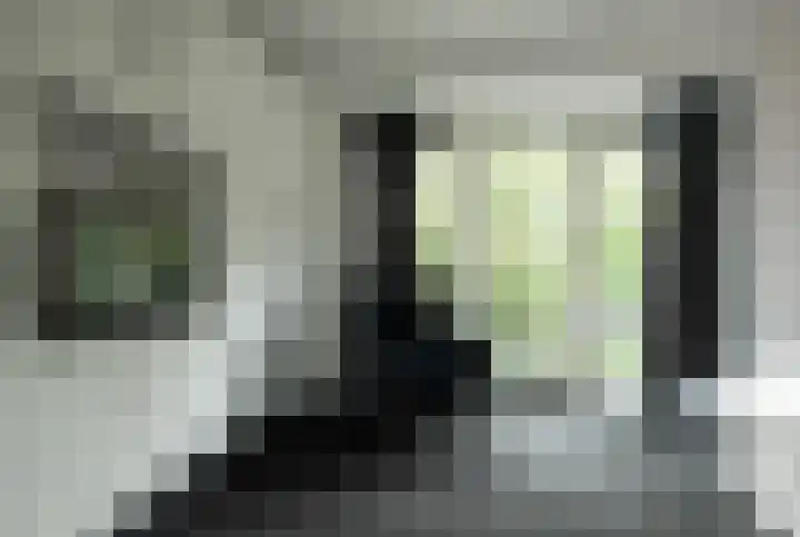 Duizendblad 15 Voorthuizen thumbnail 14