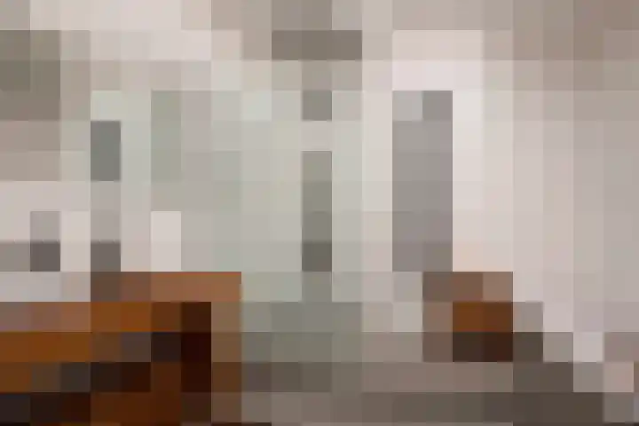 Duizendblad 15 Voorthuizen thumbnail 15