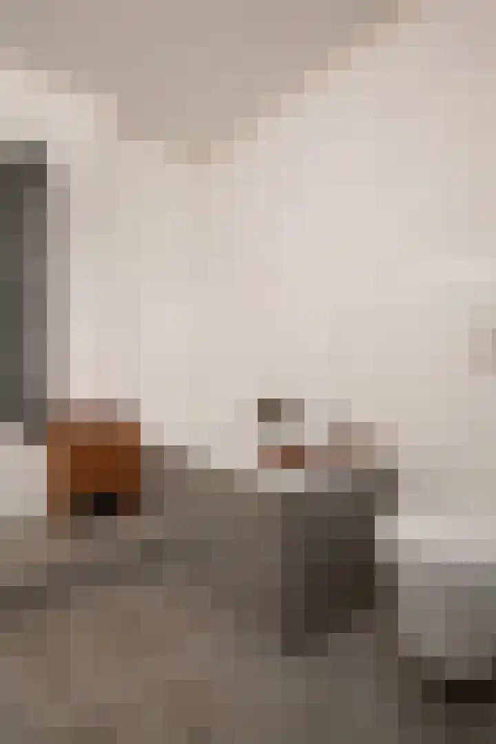 Duizendblad 15 Voorthuizen thumbnail 17