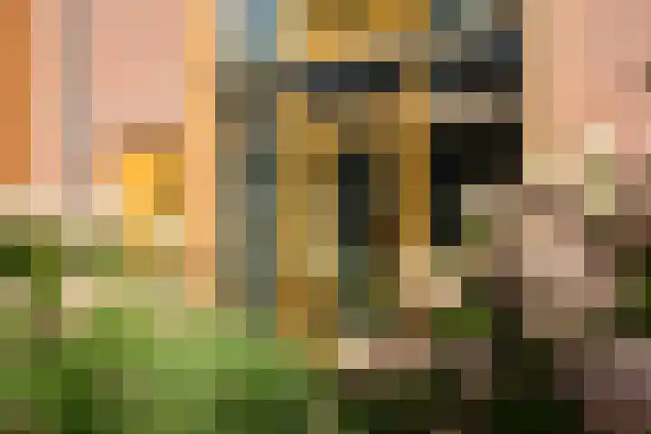 Duizendblad 15 Voorthuizen thumbnail 26