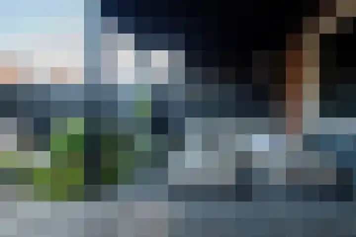 Duizendblad 15 Voorthuizen thumbnail 28
