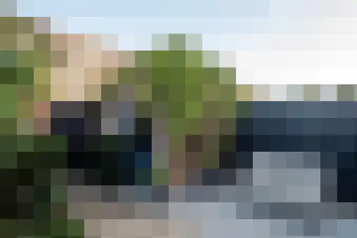Duizendblad 15 Voorthuizen thumbnail 30
