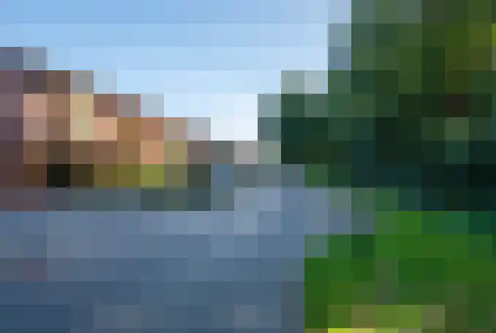 Duizendblad 15 Voorthuizen thumbnail 33