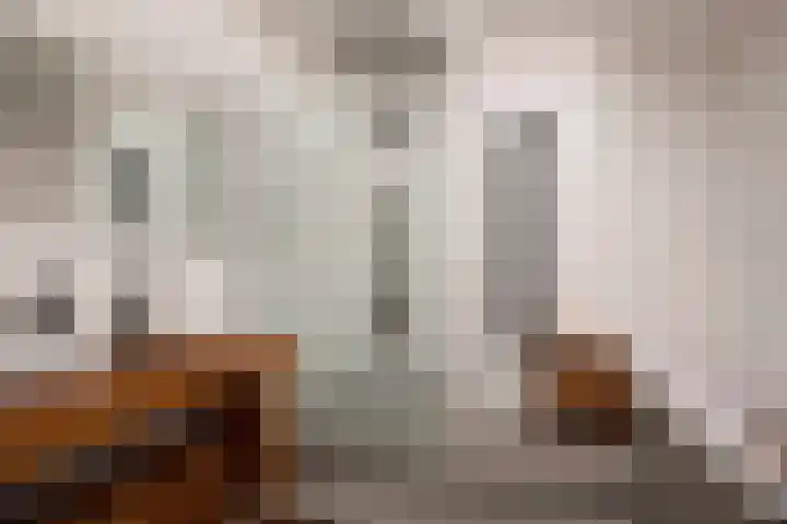 Duizendblad 15 Voorthuizen thumbnail 4