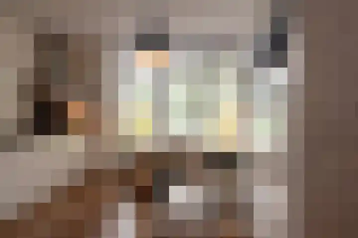 Duizendblad 15 Voorthuizen thumbnail 8