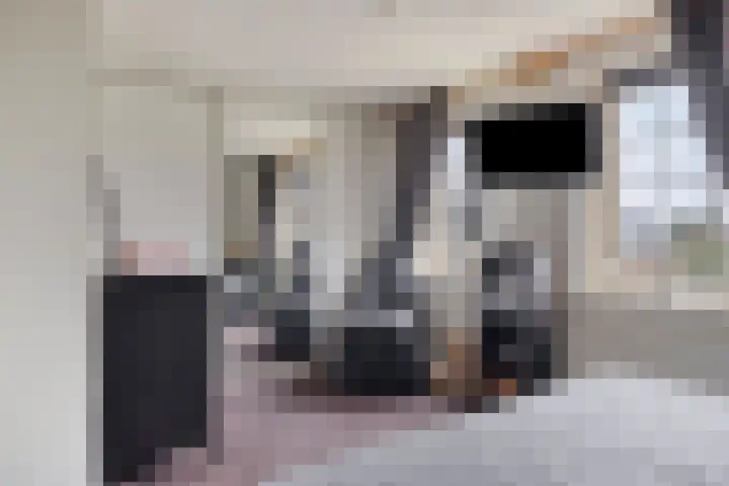 Duizendblad 17 Haaksbergen thumbnail 22