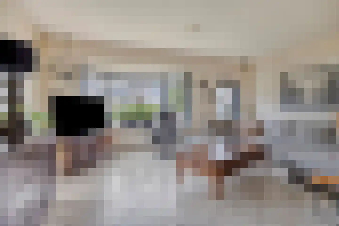 Duizendblad 17 Haaksbergen thumbnail 7