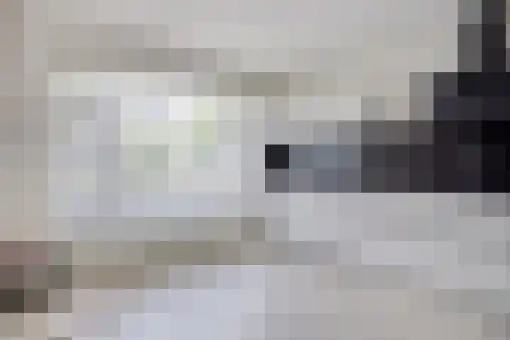 Duizendblad 19 Haaksbergen thumbnail 10