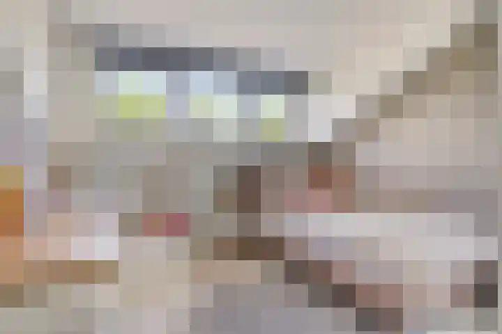 Duizendblad 19 Haaksbergen thumbnail 21