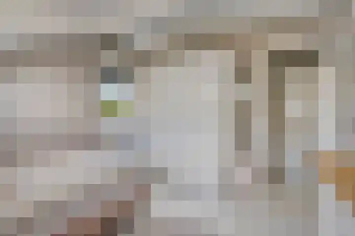 Duizendblad 19 Haaksbergen thumbnail 22