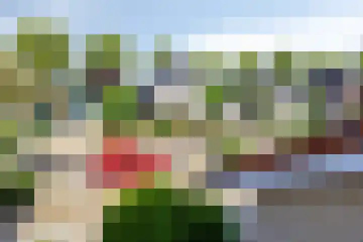 Duizendblad 19 Haaksbergen thumbnail 28
