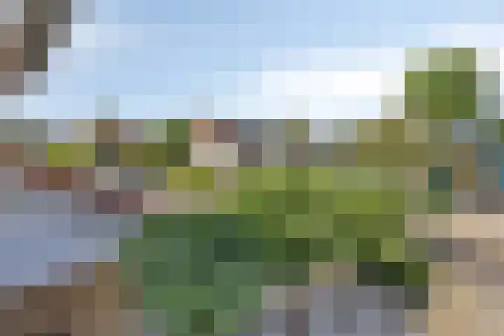 Duizendblad 19 Haaksbergen thumbnail 29
